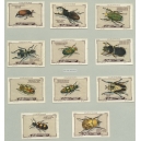 Cailler Serie V 11x Coléoptères (Käfer / Beetles)