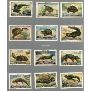 Cailler Serie VII Nos 1 - 12 Reptiles (Reptilien / Reptiles)