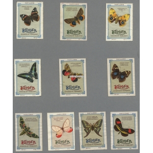 Kohler Serie I Nos 10x Papillons (Schmetterlinge / butterflies)