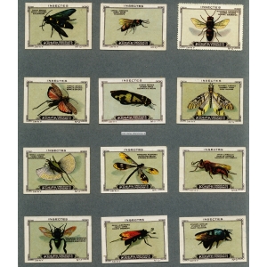 Kohler Serie V Nos 1 - 12 Insectes (Insekten / Insects)
