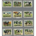 Kohler Serie XVII Nos 1 - 12 Chiens de Chasse (Jagdhunde / Hounds)