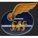 SAS Flown by