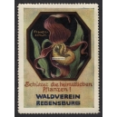 Regensburg Waldverein Frauenschuh (001)