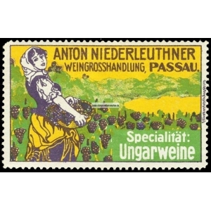 Niederleuthner Weingrosshandlung Passau ... (001)