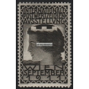 Wien 1911 Internationale Postwertzeichen Ausstellung (grau - 001)