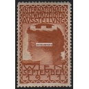 Wien 1911 Internationale Postwertzeichen Ausstellung (braun - 001)