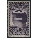 Wien 1911 Internationale Postwertzeichen Ausstellung (violett - 001)