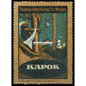 Kapok Thomas & Vosskamp Werden (001)
