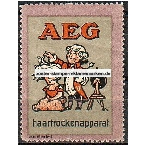 AEG Berlin Haartrockenapparat (001)