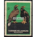 München Tierpark Hellabrunn Adler (Hohlwein 001)