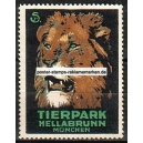 München Tierpark Hellabrunn Löwe (Suchodolski 001)