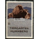 Nürnberg Tiergarten Bison Var B (Hohlwein 001)