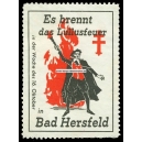 Bad Hersfeld Lullusfeuer (001)