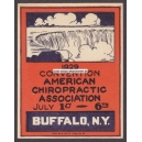 Buffalo 1929 Convention American Chiropractic Association (001)