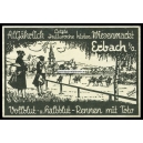 Erbach Wiesenmarkt (Zingel 001)