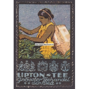 Lipton Tee (005 b)