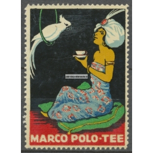 Marco Polo Tee (Erwin Tinter 001 a)