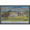 Charles grösste Circus-Schau 004 Bergzebra