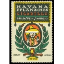 Havana Pflänzchen Cigarillo (001)