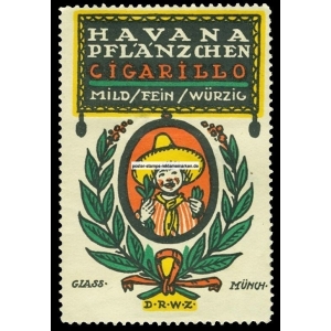 Havana Pflänzchen Cigarillo (001)