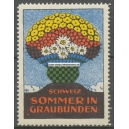 Graubünden Schweiz Sommer in (WK 1001)
