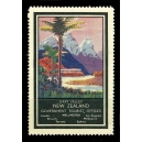 New Zealand Dart Valley (001)