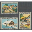 Teisnach Waldvereins Sektion 3 X (001)