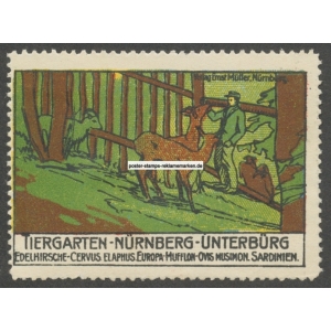Nürnberg Tiergarten Unterbürg 102 Edelhirsche