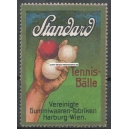 Standard Tennisbälle Harburg Wien (001 a)