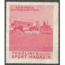 Tosolini's Sport-Magazin Alfons von Bayern Pferdekutsche (001)