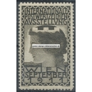 Wien 1911 Internationale Postwertzeichen Ausstellung (schwarz - 001)