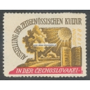 Brünn 1928 Ausstellung Zeitgenossische Kultur (001)