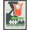 Essen 1929 Ruhrländische Gartenbau-Ausstellung (001 a)