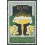 Reims Champagne (001)